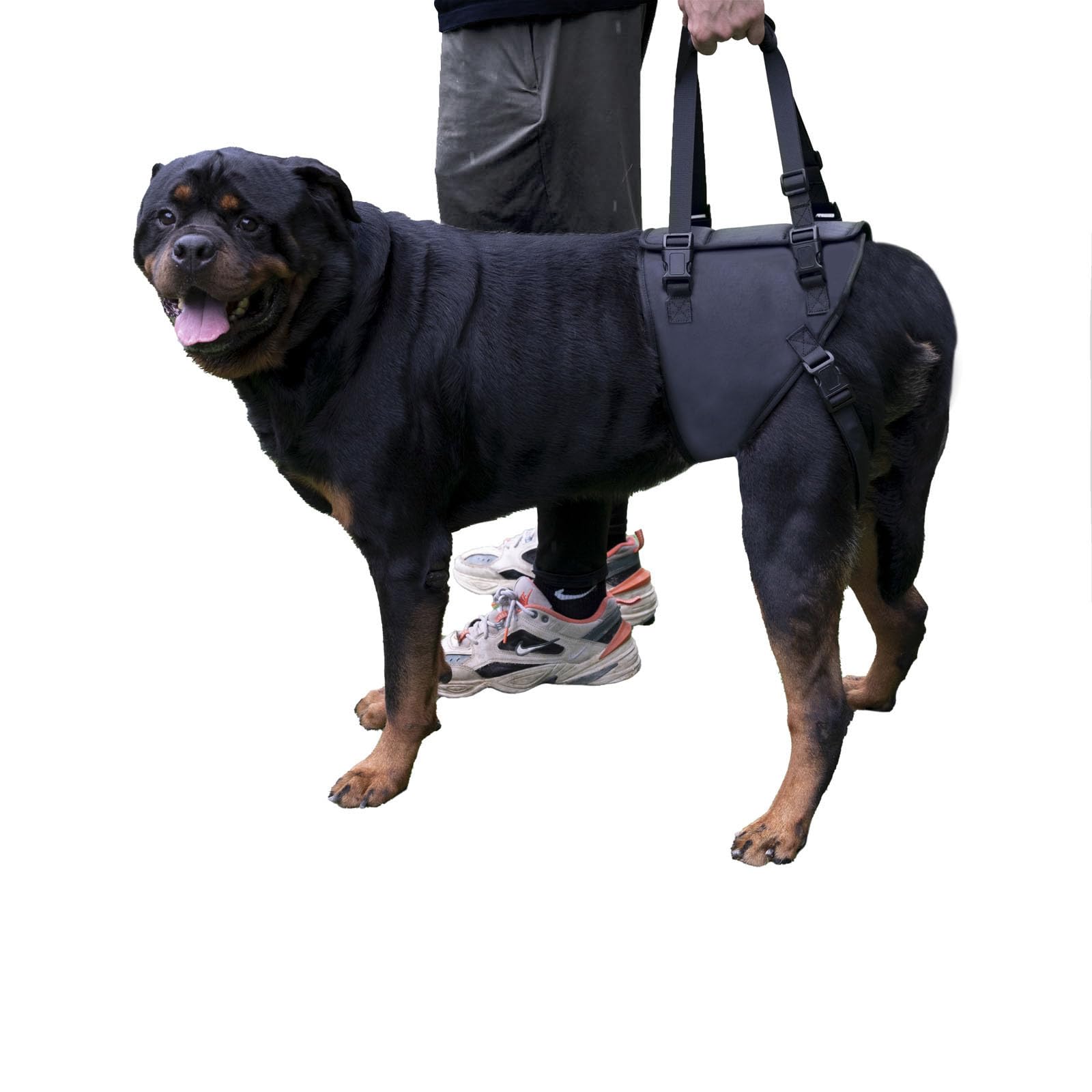 Dog Lift Harness for Dogs with Disabled Arthritis and Weak Back Legs humanized Design with Comfortable Materials Adjustable Back Legs and Straps Suitable for Helping Dogs to Recover and Walk. (XL)